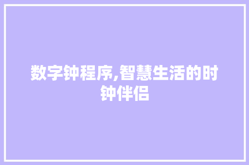数字钟程序,智慧生活的时钟伴侣 数字钟程序,智慧生活的时钟伴侣 必应SEO