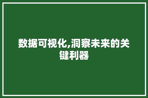 数据可视化,洞察未来的关键利器 数据可视化,洞察未来的关键利器 必应SEO
