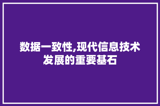 数据一致性,现代信息技术发展的重要基石 数据一致性,现代信息技术发展的重要基石 SEO关键词