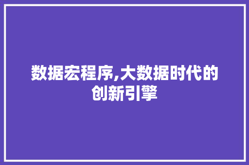 数据宏程序,大数据时代的创新引擎 数据宏程序,大数据时代的创新引擎 网站建设公司