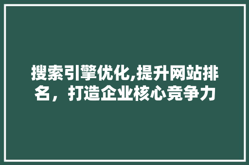 搜索引擎优化,提升网站排名，打造企业核心竞争力
