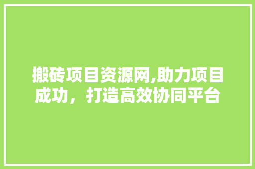 搬砖项目资源网,助力项目成功，打造高效协同平台 搬砖项目资源网,助力项目成功，打造高效协同平台 神马SEO