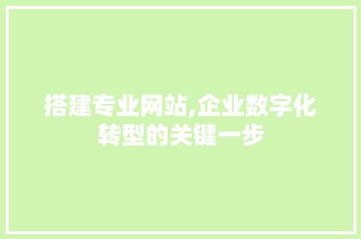 搭建专业网站,企业数字化转型的关键一步
