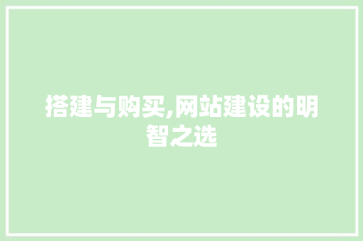 搭建与购买,网站建设的明智之选 搭建与购买,网站建设的明智之选 网站建设公司