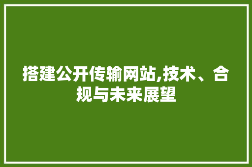 搭建公开传输网站,技术、合规与未来展望 搭建公开传输网站,技术、合规与未来展望 百度SEO
