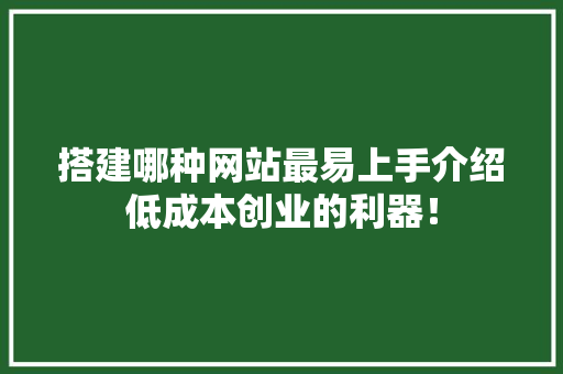 搭建哪种网站最易上手介绍低成本创业的利器！ 搭建哪种网站最易上手介绍低成本创业的利器！ 必应SEO