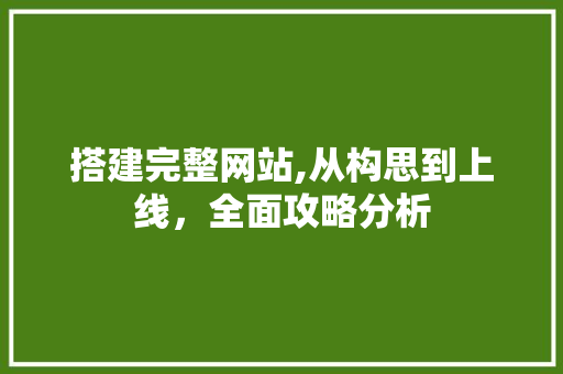 搭建完整网站,从构思到上线，全面攻略分析 搭建完整网站,从构思到上线，全面攻略分析 必应SEO