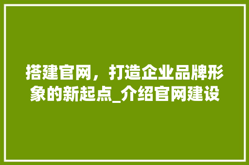 搭建官网，打造企业品牌形象的新起点_介绍官网建设的五大关键要素