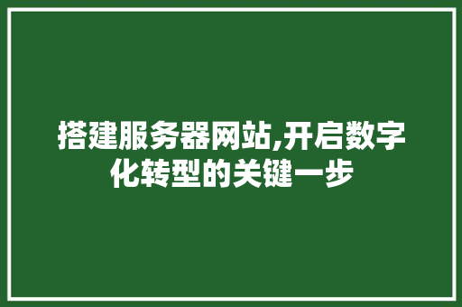 搭建服务器网站,开启数字化转型的关键一步
