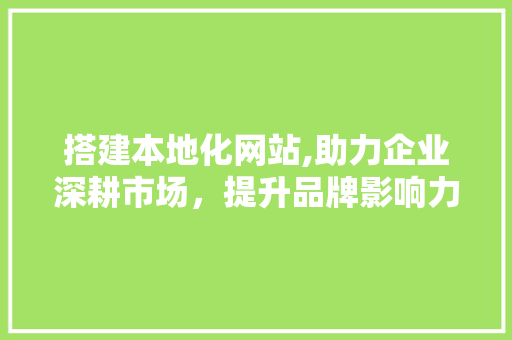 搭建本地化网站,助力企业深耕市场，提升品牌影响力 搭建本地化网站,助力企业深耕市场，提升品牌影响力 神马SEO