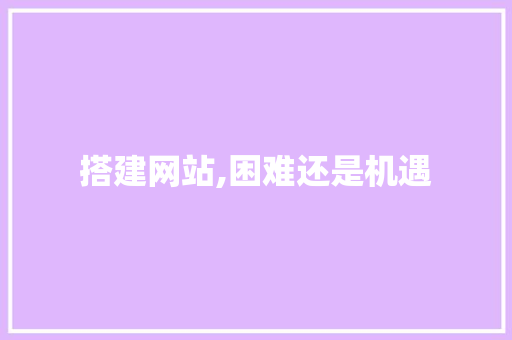 搭建网站,困难还是机遇 搭建网站,困难还是机遇 神马SEO