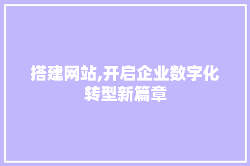 搭建网站,开启企业数字化转型新篇章 搭建网站,开启企业数字化转型新篇章 百度SEO