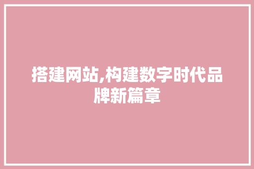 搭建网站,构建数字时代品牌新篇章