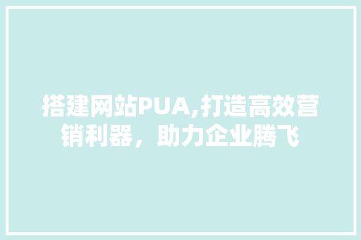 搭建网站PUA,打造高效营销利器，助力企业腾飞 搭建网站PUA,打造高效营销利器，助力企业腾飞 百度SEO