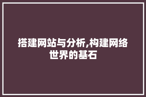 搭建网站与分析,构建网络世界的基石