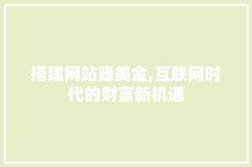 搭建网站赚美金,互联网时代的财富新机遇 搭建网站赚美金,互联网时代的财富新机遇 百度SEO