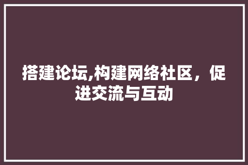 搭建论坛,构建网络社区，促进交流与互动 搭建论坛,构建网络社区，促进交流与互动 网站建设公司