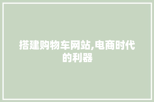 搭建购物车网站,电商时代的利器 搭建购物车网站,电商时代的利器 百度SEO