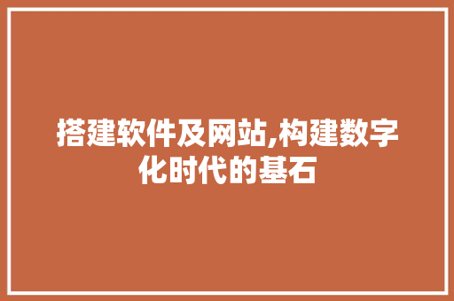 搭建软件及网站,构建数字化时代的基石 搭建软件及网站,构建数字化时代的基石 SEO关键词