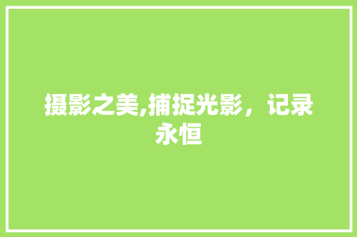 摄影之美,捕捉光影，记录永恒 摄影之美,捕捉光影，记录永恒 必应SEO