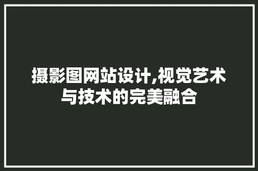 摄影图网站设计,视觉艺术与技术的完美融合
