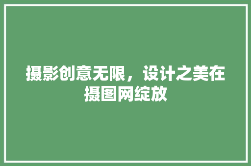 摄影创意无限，设计之美在摄图网绽放 摄影创意无限，设计之美在摄图网绽放 必应SEO