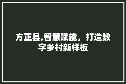 方正县,智慧赋能，打造数字乡村新样板 方正县,智慧赋能，打造数字乡村新样板 搜狗SEO