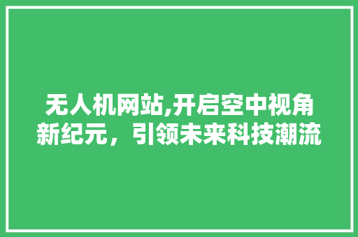 无人机网站,开启空中视角新纪元，引领未来科技潮流 无人机网站,开启空中视角新纪元，引领未来科技潮流 百度SEO