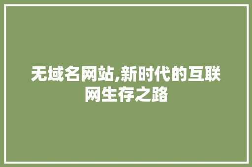 无域名网站,新时代的互联网生存之路 无域名网站,新时代的互联网生存之路 百度SEO