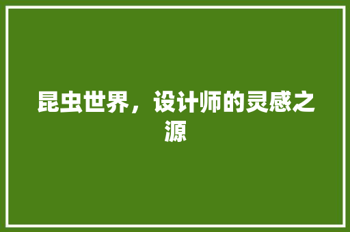 昆虫世界，设计师的灵感之源 昆虫世界，设计师的灵感之源 必应SEO