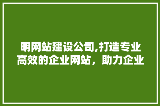 明网站建设公司,打造专业高效的企业网站，助力企业腾飞 明网站建设公司,打造专业高效的企业网站，助力企业腾飞 神马SEO