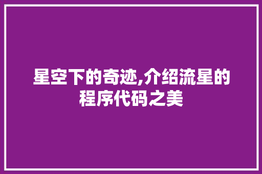 星空下的奇迹,介绍流星的程序代码之美 星空下的奇迹,介绍流星的程序代码之美 SEO关键词