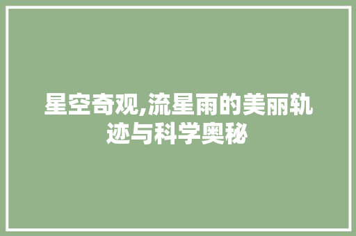 星空奇观,流星雨的美丽轨迹与科学奥秘 星空奇观,流星雨的美丽轨迹与科学奥秘 SEO关键词