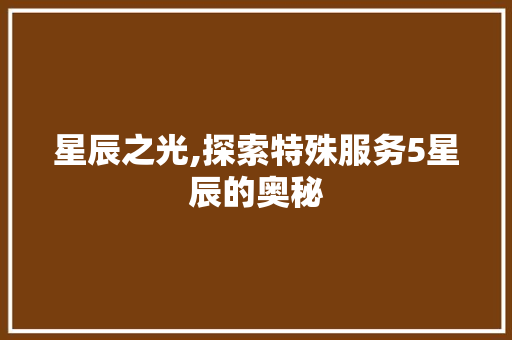 星辰之光,探索特殊服务5星辰的奥秘 星辰之光,探索特殊服务5星辰的奥秘 神马SEO