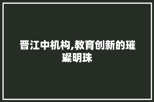 晋江中机构,教育创新的璀璨明珠 晋江中机构,教育创新的璀璨明珠 SEO关键词