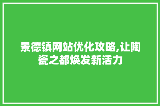景德镇网站优化攻略,让陶瓷之都焕发新活力 景德镇网站优化攻略,让陶瓷之都焕发新活力 百度SEO