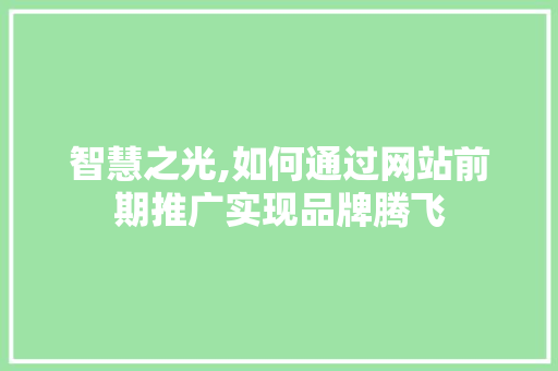 智慧之光,如何通过网站前期推广实现品牌腾飞 智慧之光,如何通过网站前期推广实现品牌腾飞 网站建设公司