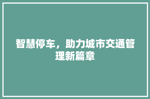 智慧停车，助力城市交通管理新篇章 智慧停车，助力城市交通管理新篇章 搜狗SEO