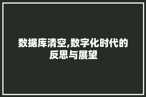 数据库清空,数字化时代的反思与展望 数据库清空,数字化时代的反思与展望 神马SEO