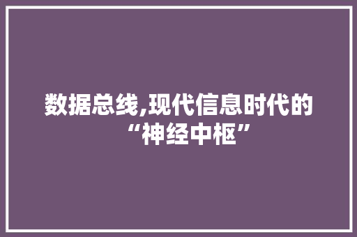 数据总线,现代信息时代的“神经中枢” 数据总线,现代信息时代的“神经中枢” 百度SEO