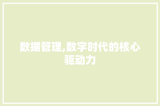 数据管理,数字时代的核心驱动力 数据管理,数字时代的核心驱动力 必应SEO