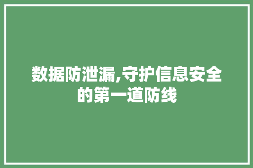 数据防泄漏,守护信息安全的第一道防线 数据防泄漏,守护信息安全的第一道防线 必应SEO