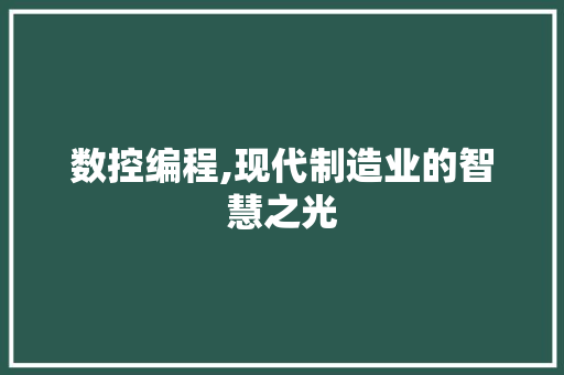 数控编程,现代制造业的智慧之光 数控编程,现代制造业的智慧之光 SEO关键词
