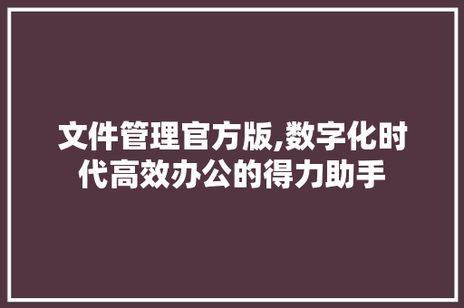 文件管理官方版,数字化时代高效办公的得力助手 文件管理官方版,数字化时代高效办公的得力助手 SEO关键词