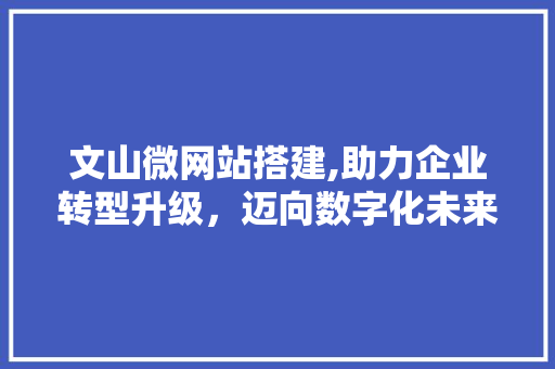 文山微网站搭建,助力企业转型升级，迈向数字化未来 文山微网站搭建,助力企业转型升级，迈向数字化未来 SEO关键词