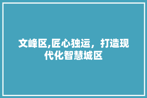 文峰区,匠心独运，打造现代化智慧城区 文峰区,匠心独运，打造现代化智慧城区 百度SEO