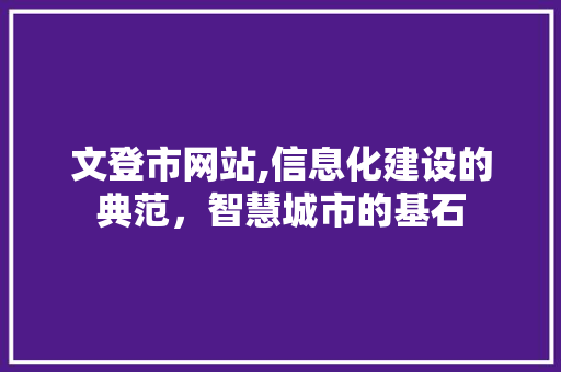 文登市网站,信息化建设的典范，智慧城市的基石 文登市网站,信息化建设的典范，智慧城市的基石 SEO关键词