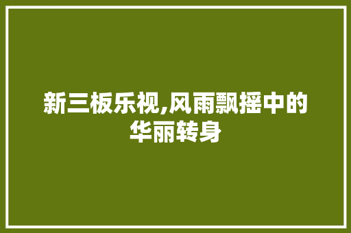 新三板乐视,风雨飘摇中的华丽转身 新三板乐视,风雨飘摇中的华丽转身 网站建设公司