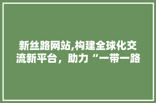 新丝路网站,构建全球化交流新平台，助力“一带一路”发展新篇章 新丝路网站,构建全球化交流新平台，助力“一带一路”发展新篇章 网站建设公司