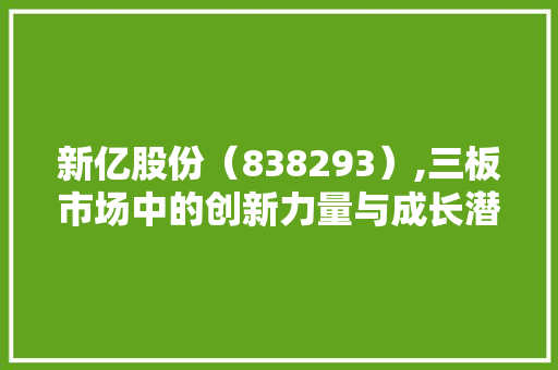 新亿股份（838293）,三板市场中的创新力量与成长潜力 新亿股份（838293）,三板市场中的创新力量与成长潜力 网站建设公司